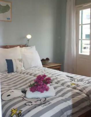 Old Town Penthouse - Barreirinha Daire Funchal Dış mekan fotoğraf